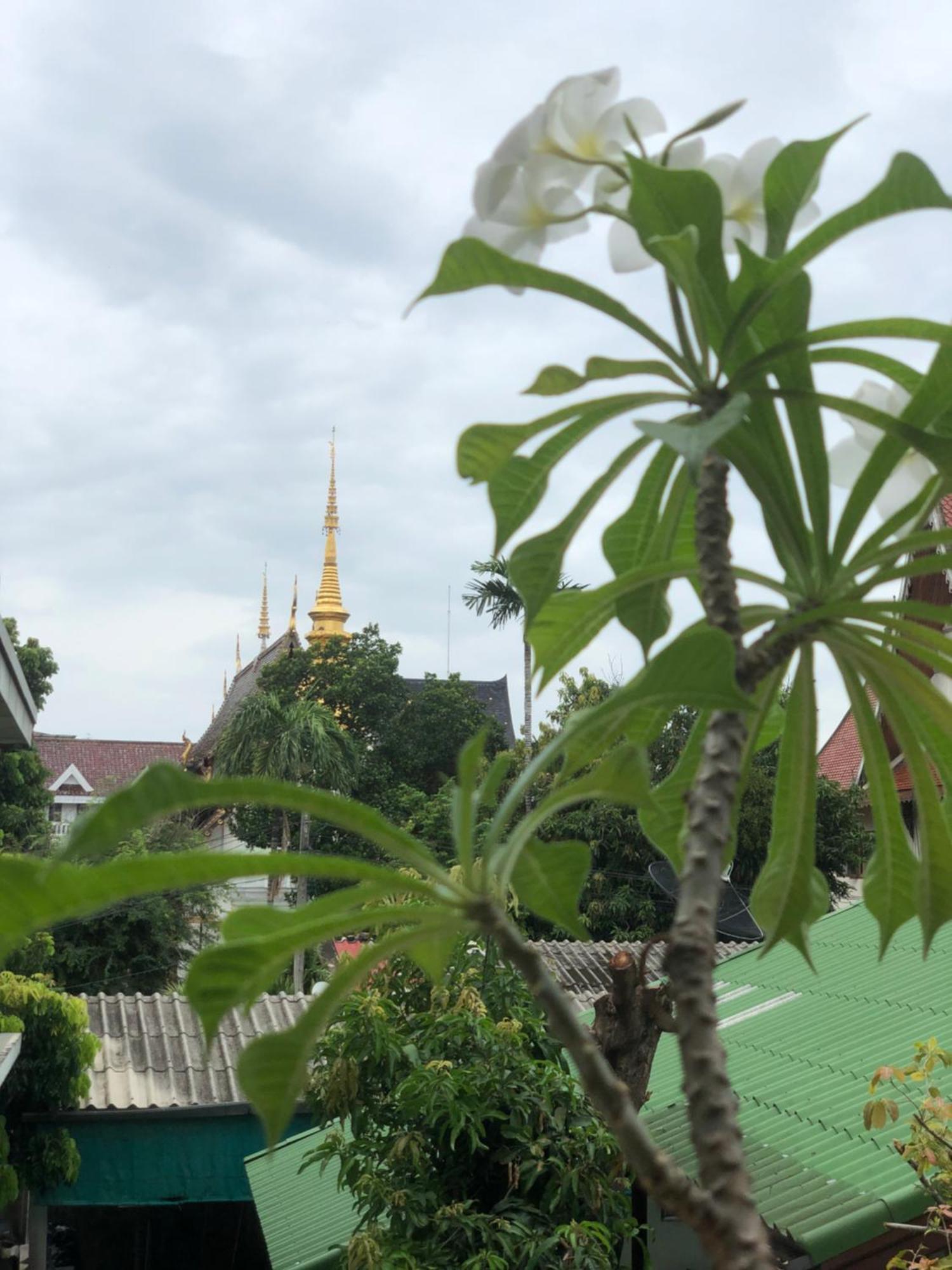 Hotel Thongran'S House Chiang Mai Zewnętrze zdjęcie